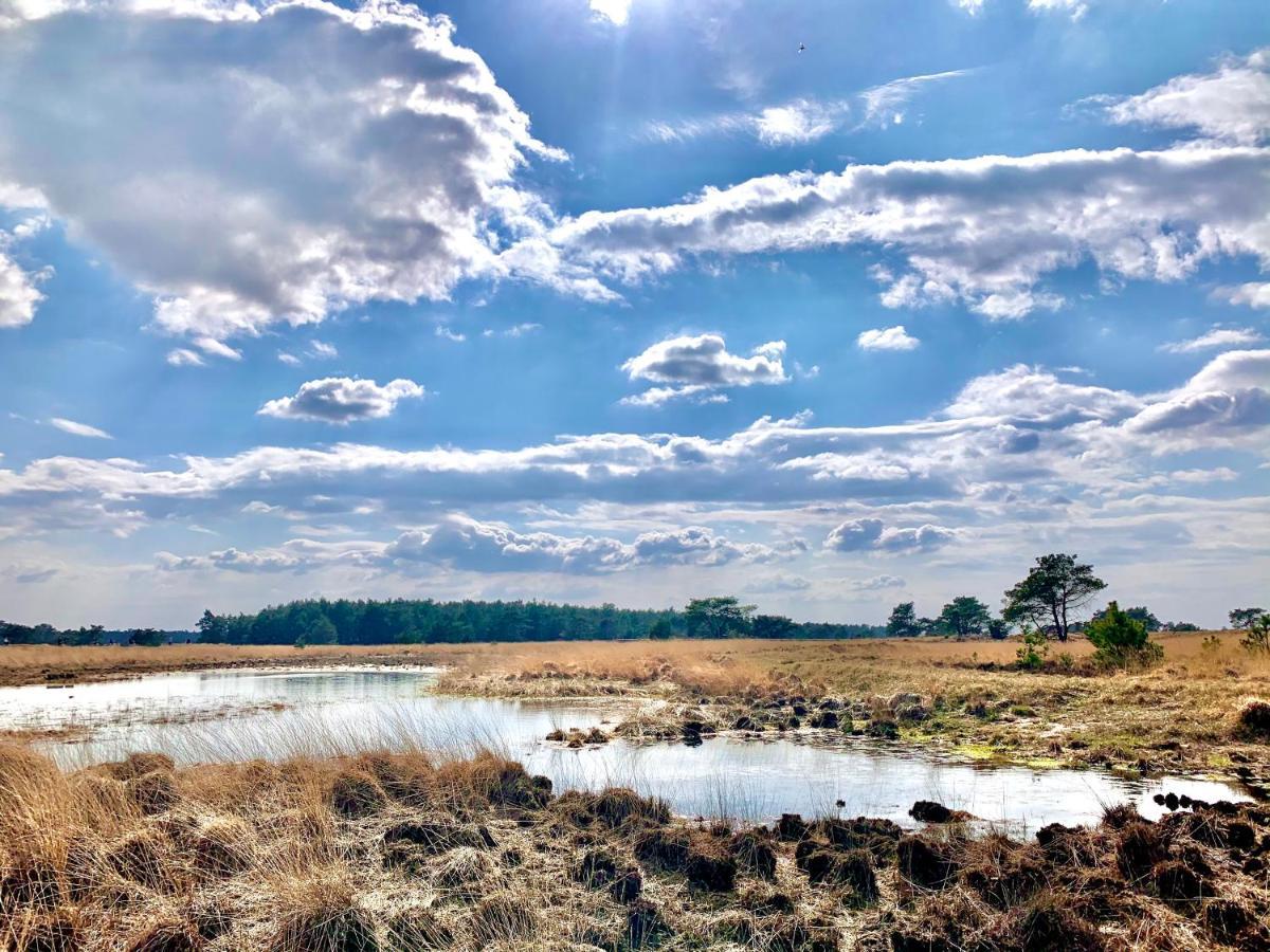 De Wollige Hooglander: In Comfort Middenin Natuur Otterlo Exteriör bild